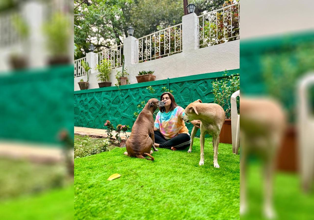 Angel House -Your Private Pet Friendly Haven Lonavala Exterior photo
